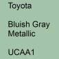 Preview: Toyota, Bluish Gray Metallic, UCAA1.